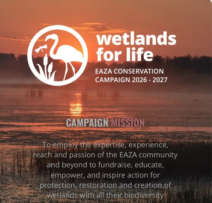 Wetlands for life