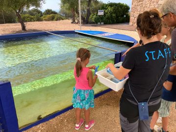 Visita Acquarista per un giorno